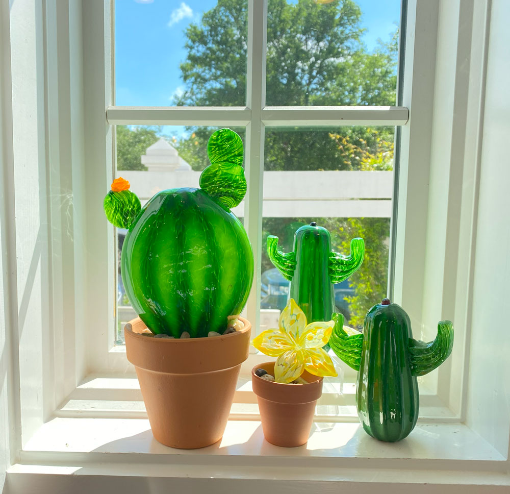 These lovely art piece cactus glow in the window light and reflect the Texas beauty of the Wimberley hill country. 